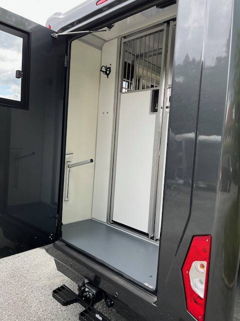 Van per Cavalli STX Master 2025 2025 Nuovo