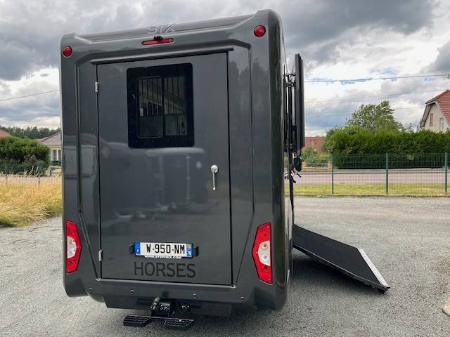 Van per Cavalli STX Master 2025 2025 Nuovo