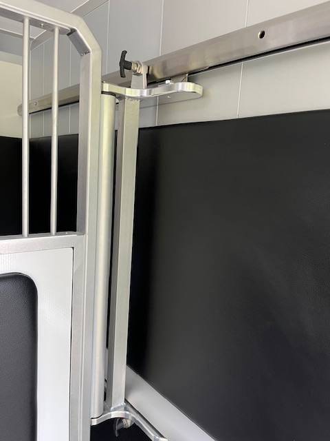 Van per Cavalli STX Master 2025 2025 Nuovo