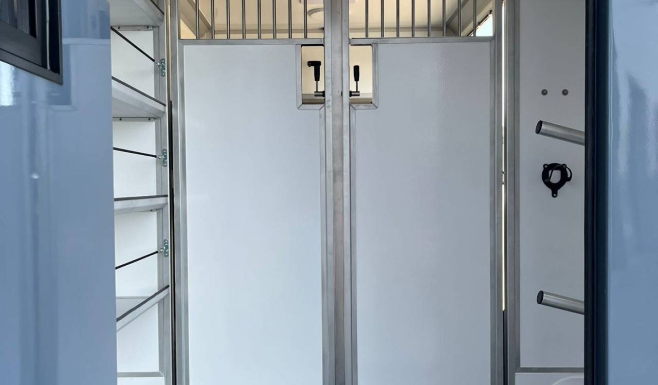 Van per Cavalli STX Master 2025 2025 Nuovo