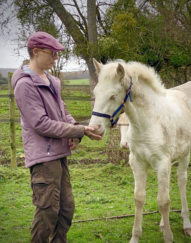 Puledro Lusitano In vendita 2024 Perlino