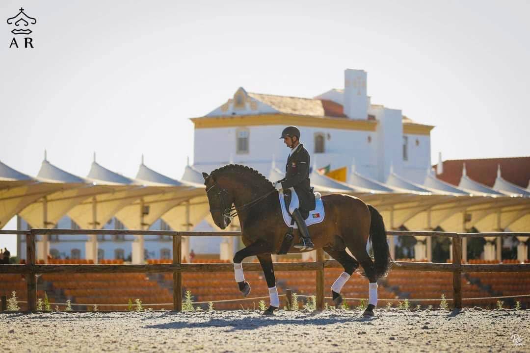 Puledro Lusitano In vendita 2024 Perlino