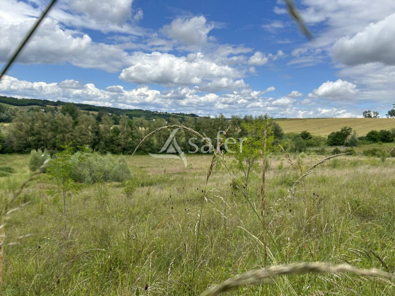 Azienda agricola In vendita Lot-et-Garonne
