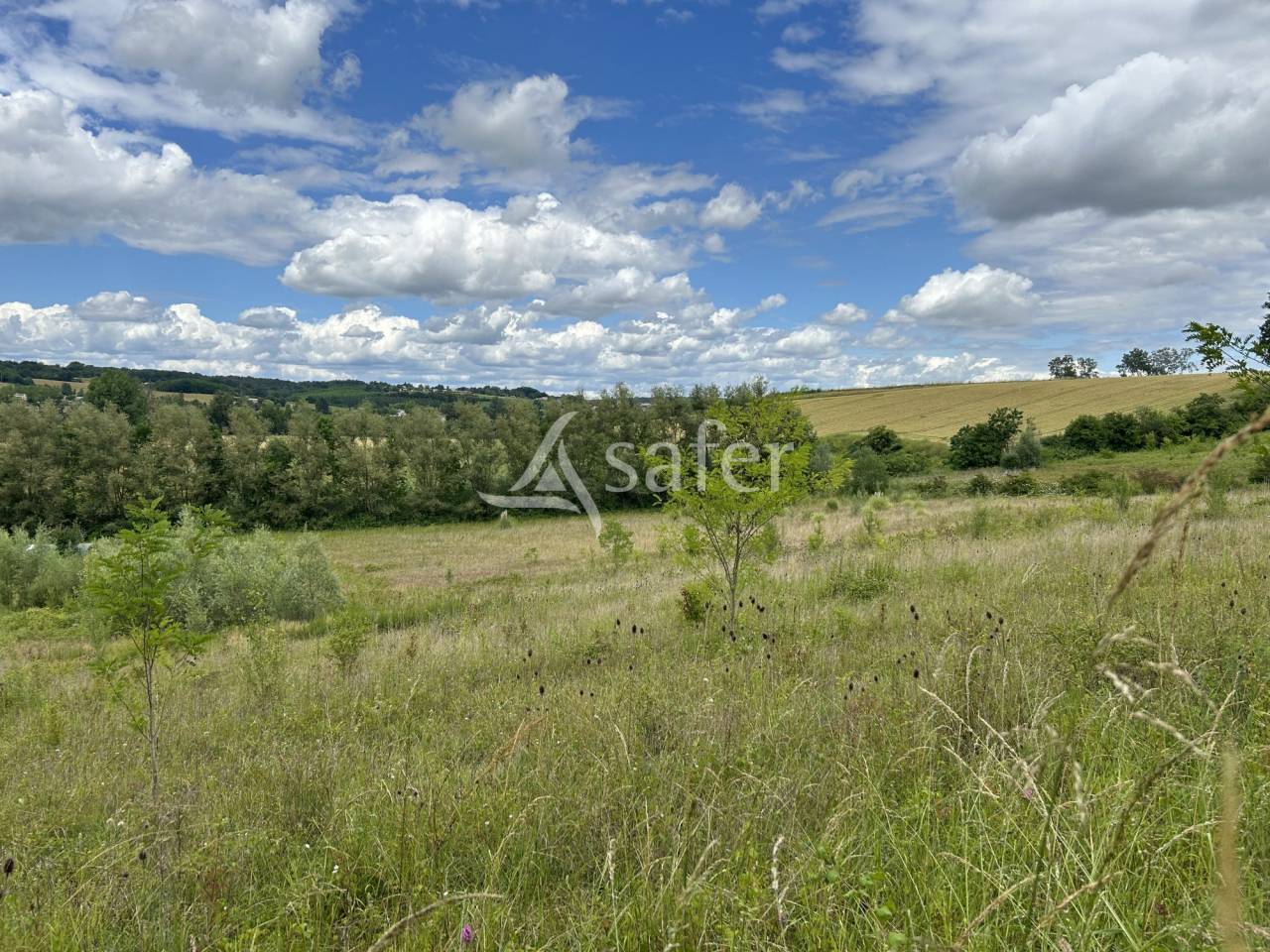 Azienda agricola In vendita Lot-et-Garonne