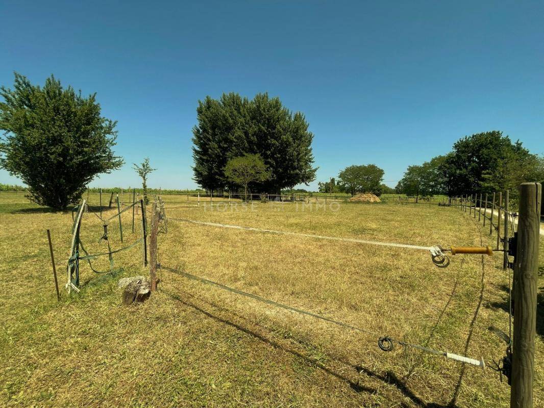 Proprietà equestre In vendita Loir-et-Cher