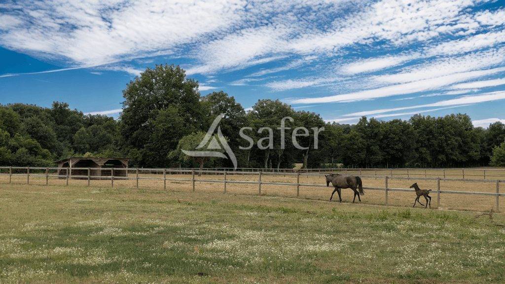 Proprietà equestre In vendita Maine-et-Loire