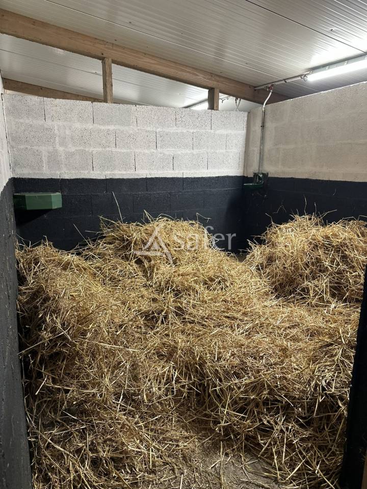 Proprietà equestre In vendita Maine-et-Loire