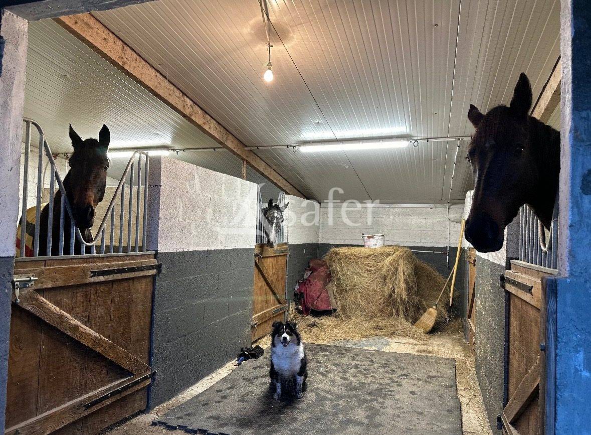 Proprietà equestre In vendita Maine-et-Loire
