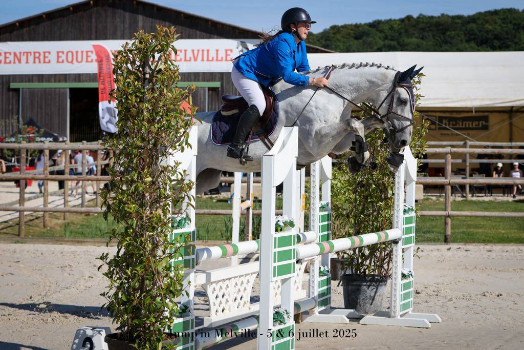 Cavalla Sella Francese In vendita 2018 Grigio ,  Donatello du Bailly – SF