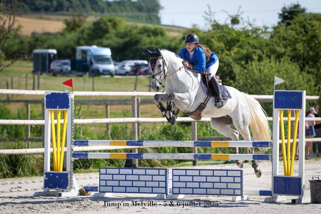 Cavalla Sella Francese In vendita 2018 Grigio ,  Donatello du Bailly – SF