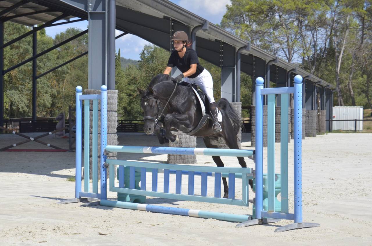 Stallone Purosangue Arabo In vendita 2017 Nero ,  Ka Noon Rej