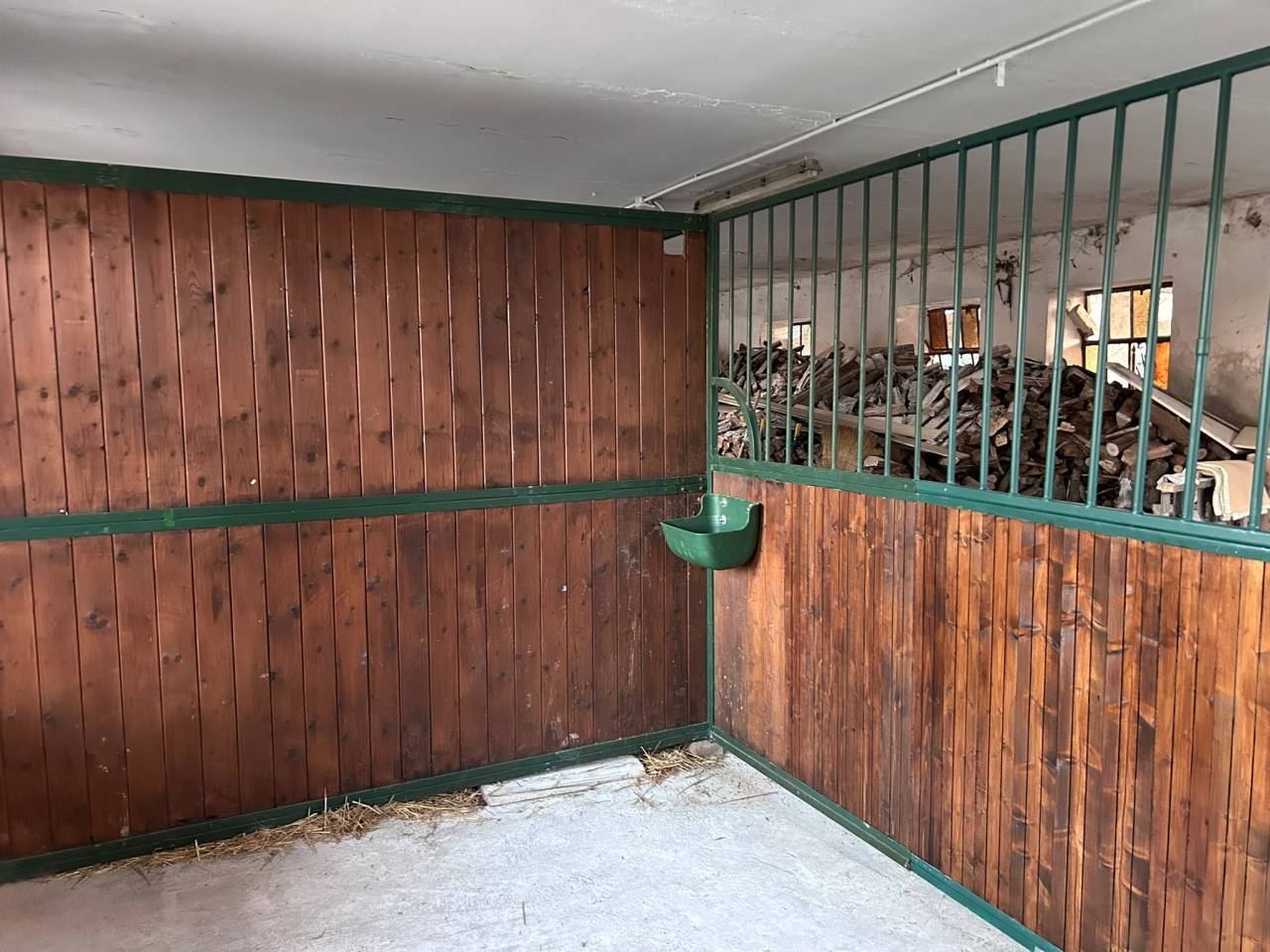 Offro pensione per cavalli in contesto famigliare 