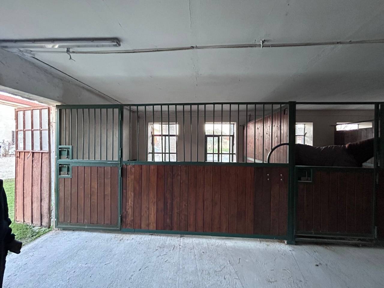 Offro pensione per cavalli in contesto famigliare 