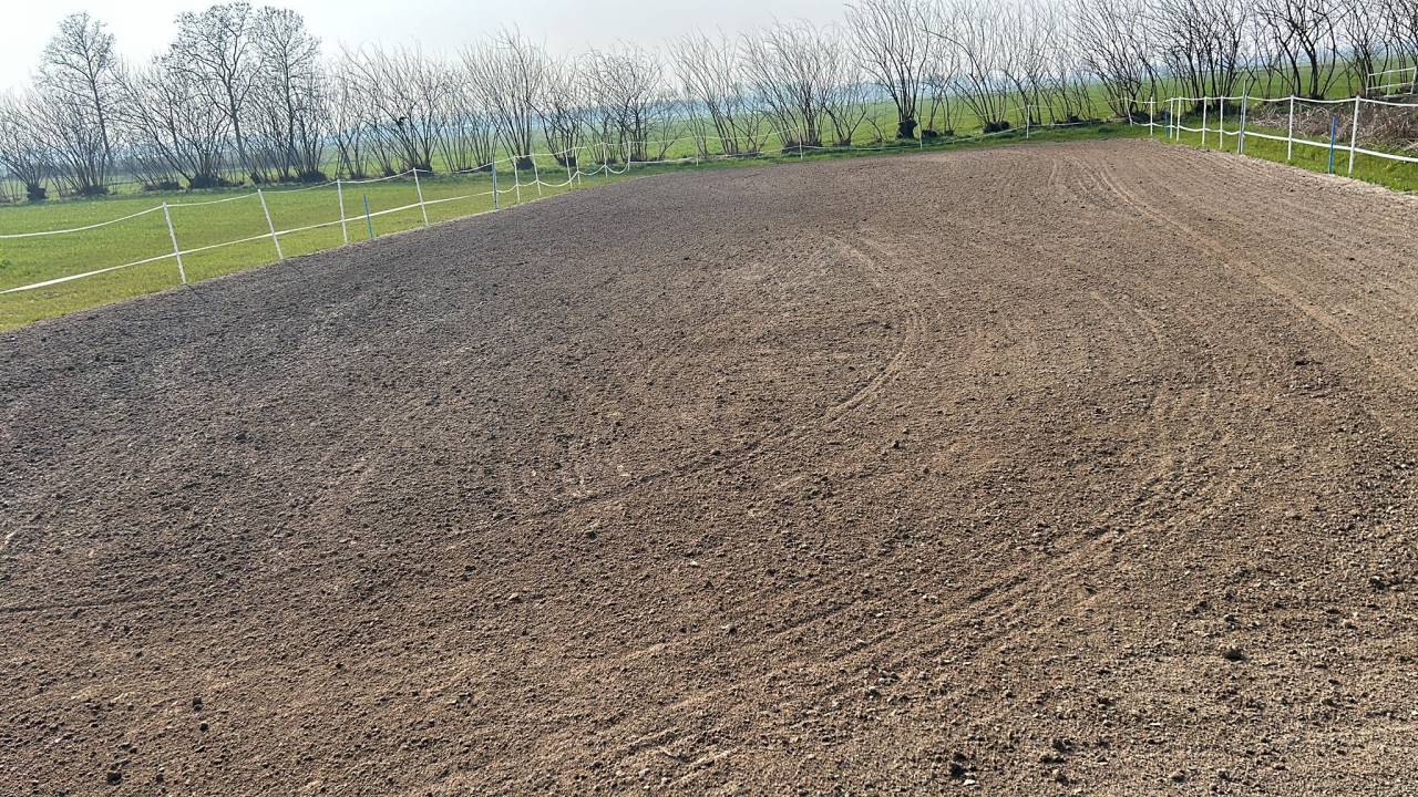 Offro pensione per cavalli in contesto famigliare 