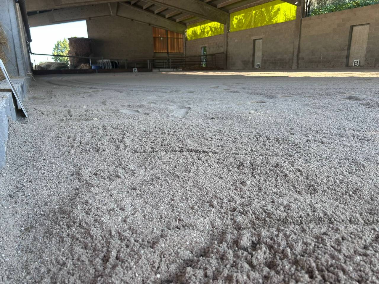 Offro pensione per cavalli in contesto famigliare 