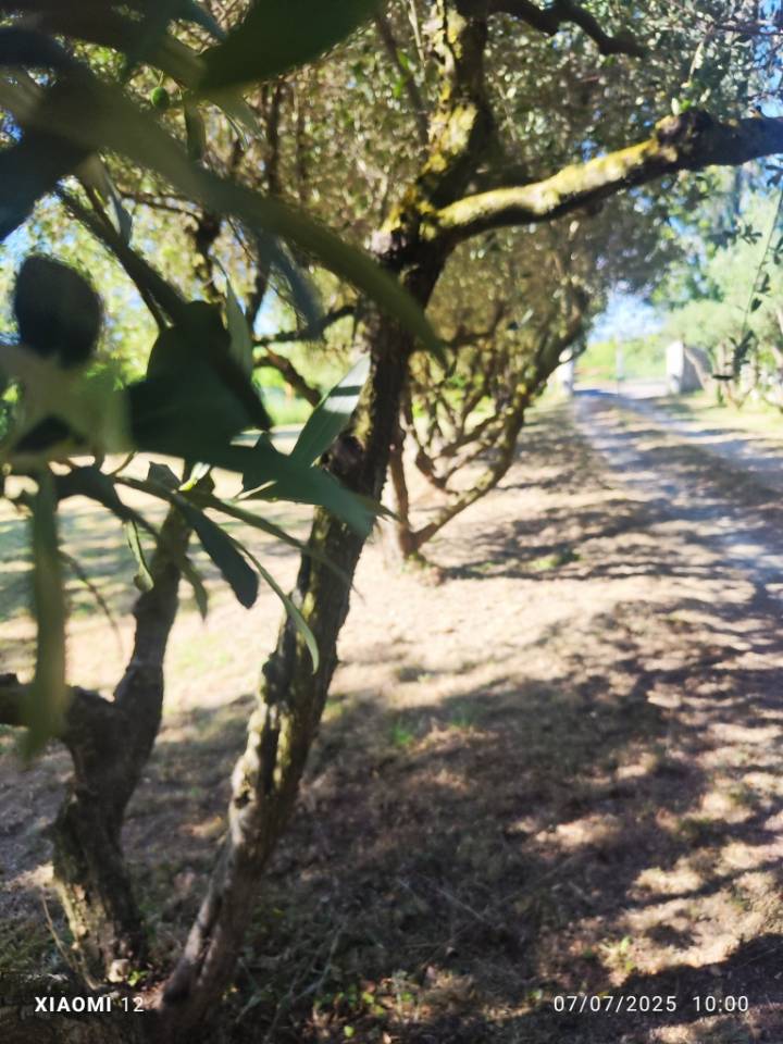 Propriet&agrave; equestre In vendita Gard