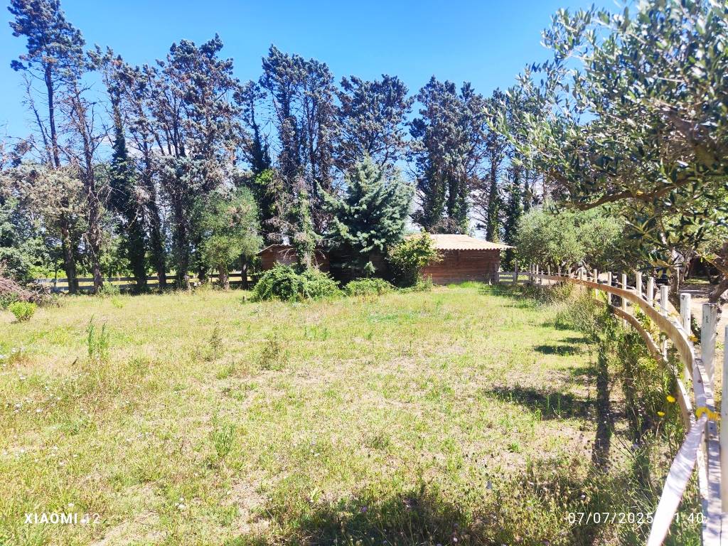 Propriet&agrave; equestre In vendita Gard