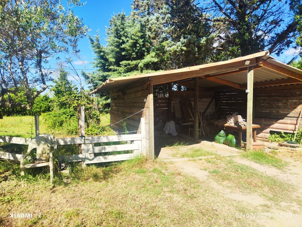 Propriet&agrave; equestre In vendita Gard