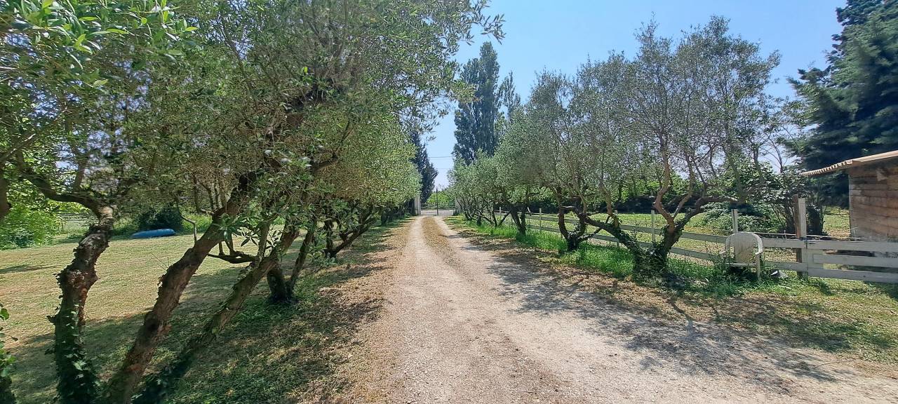 Propriet&agrave; equestre In vendita Gard
