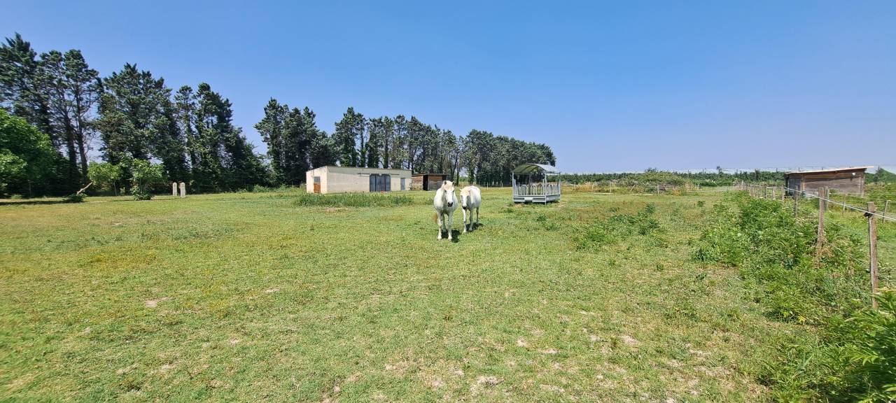 Propriet&agrave; equestre In vendita Gard