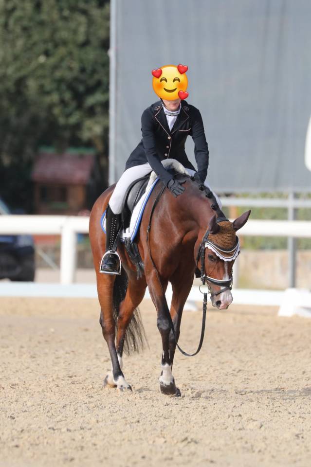 PONY DA DRESSAGE IN VENDITA