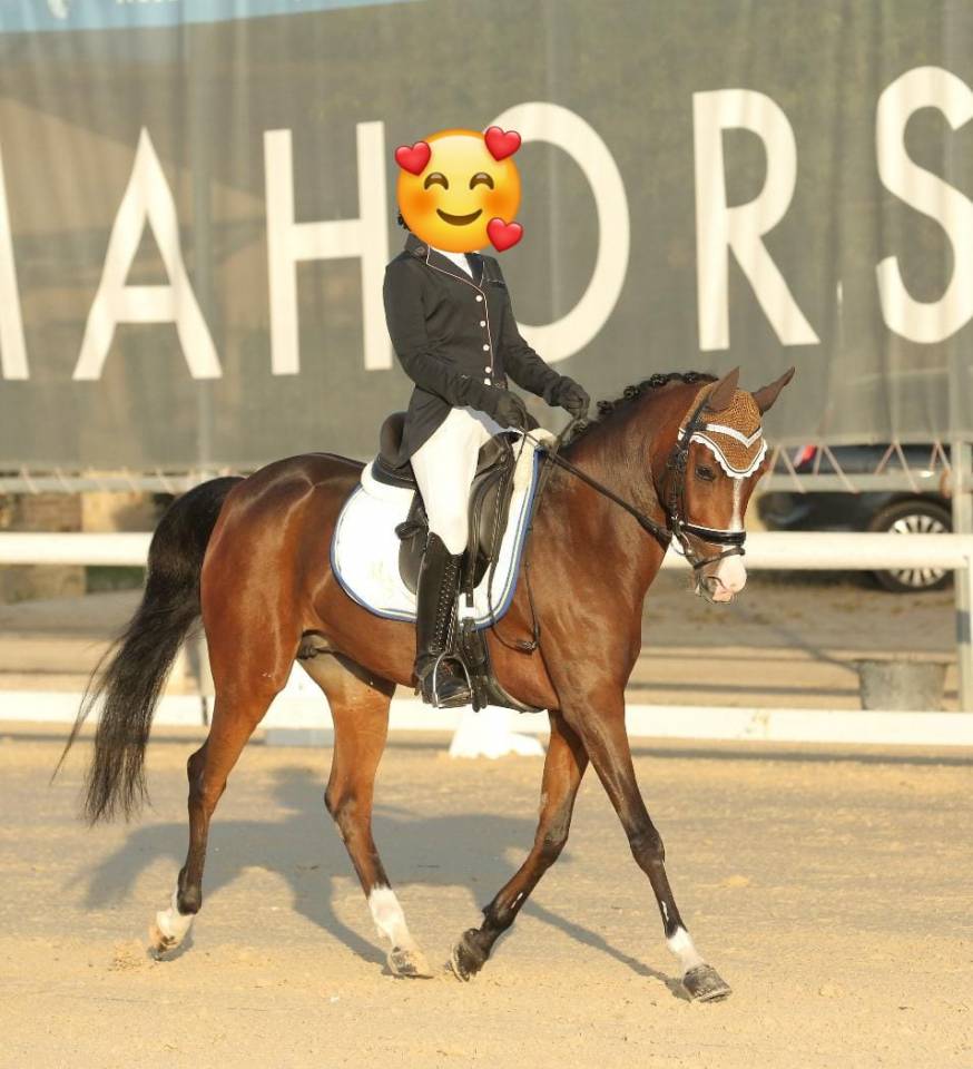 PONY DA DRESSAGE IN VENDITA