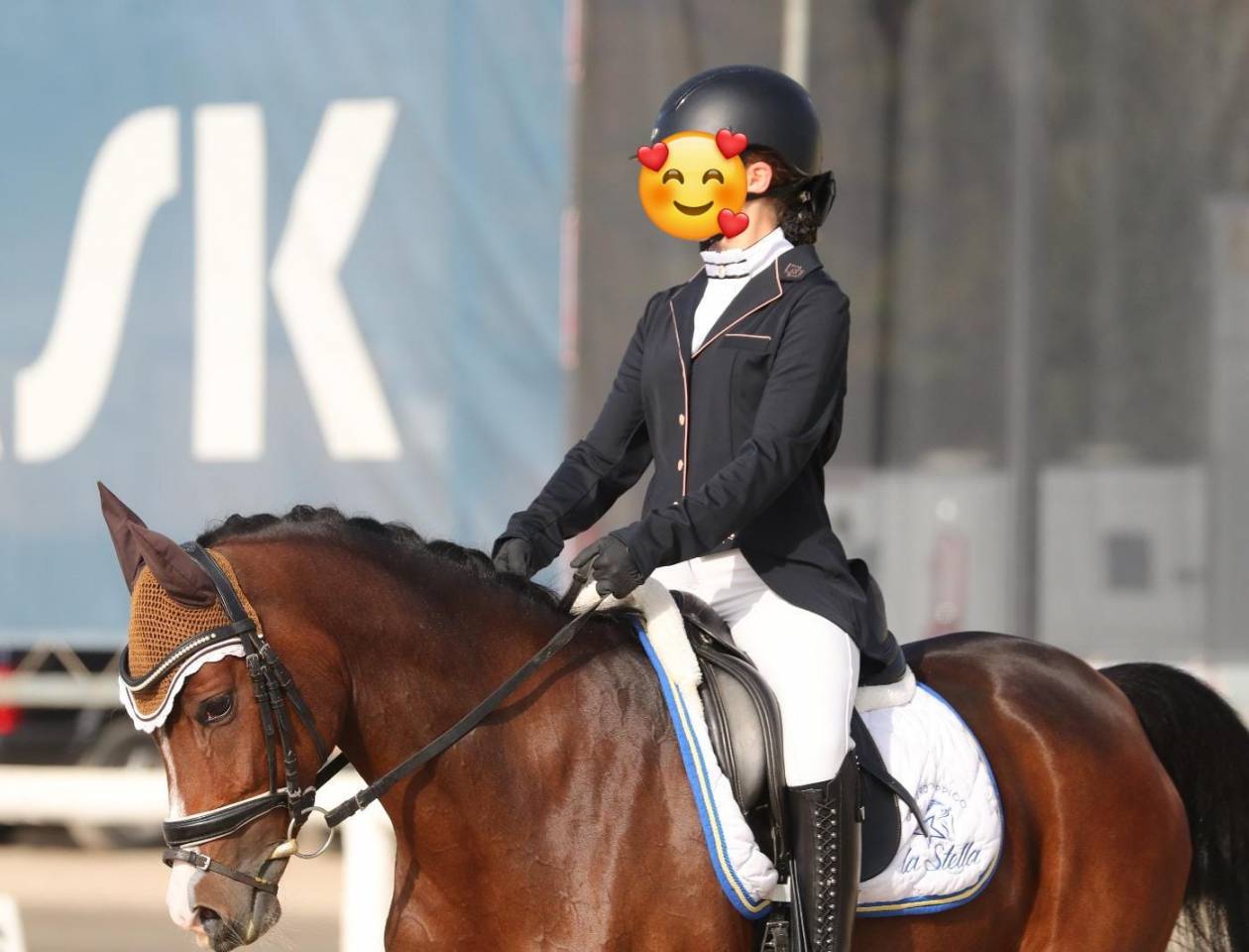 PONY DA DRESSAGE IN VENDITA