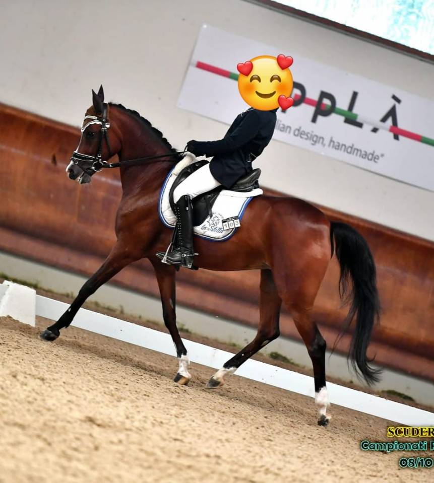 PONY DA DRESSAGE IN VENDITA