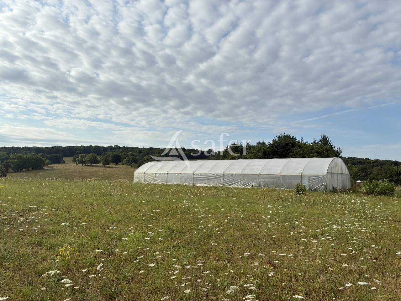 Azienda agricola In vendita Haute-Saône