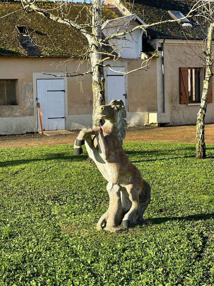Centro di stagione cavallo In vendita Sarthe