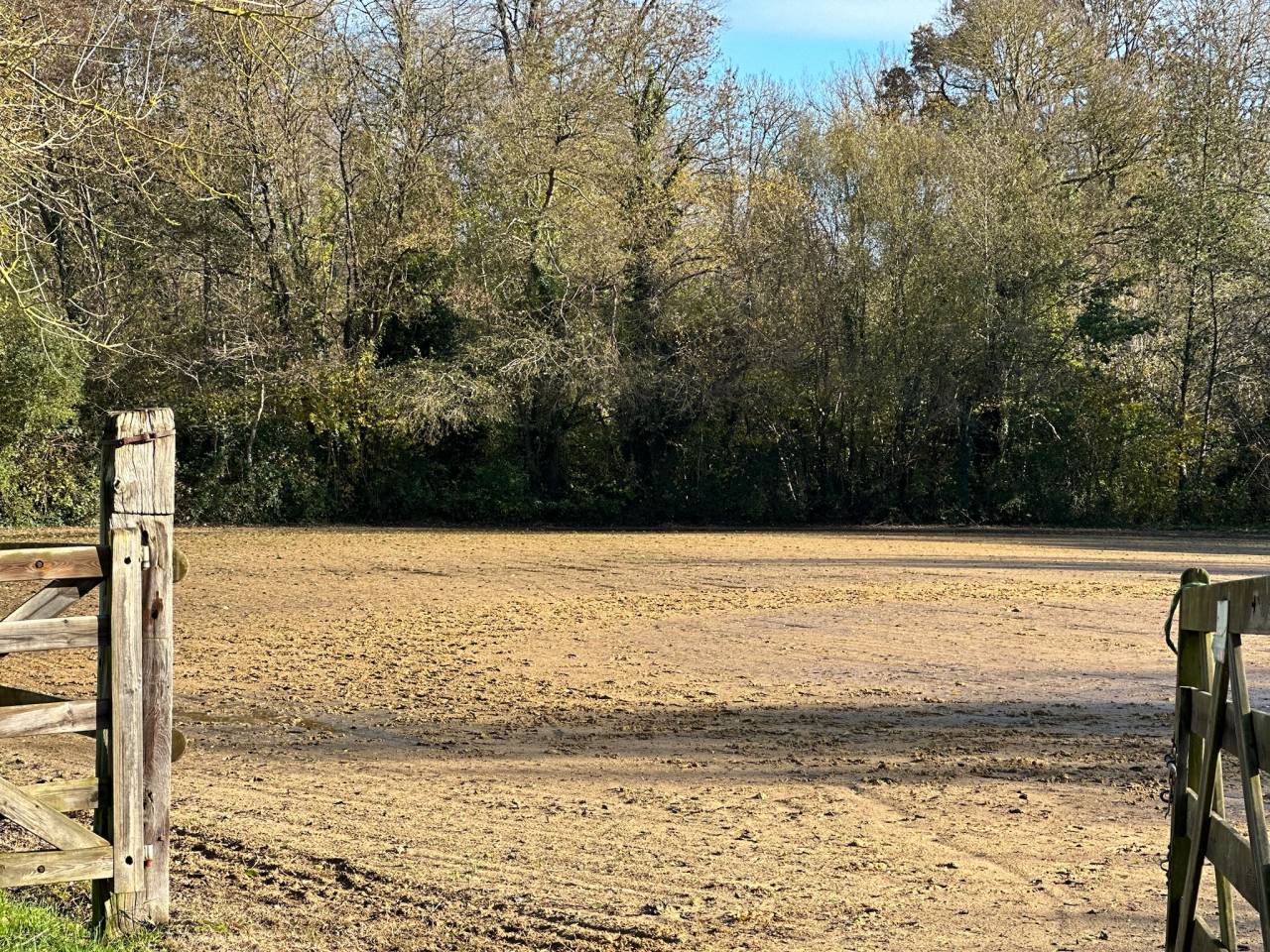 Centro di stagione cavallo In vendita Sarthe