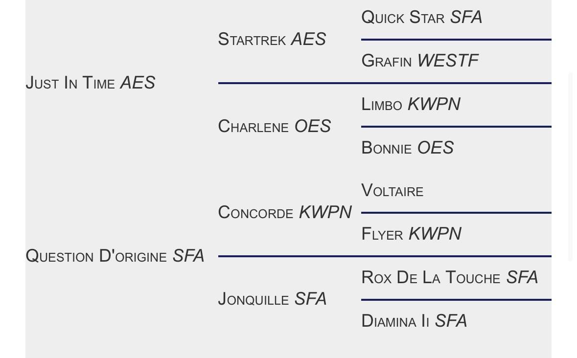 Joli cœur Z - Zangersheide 2015