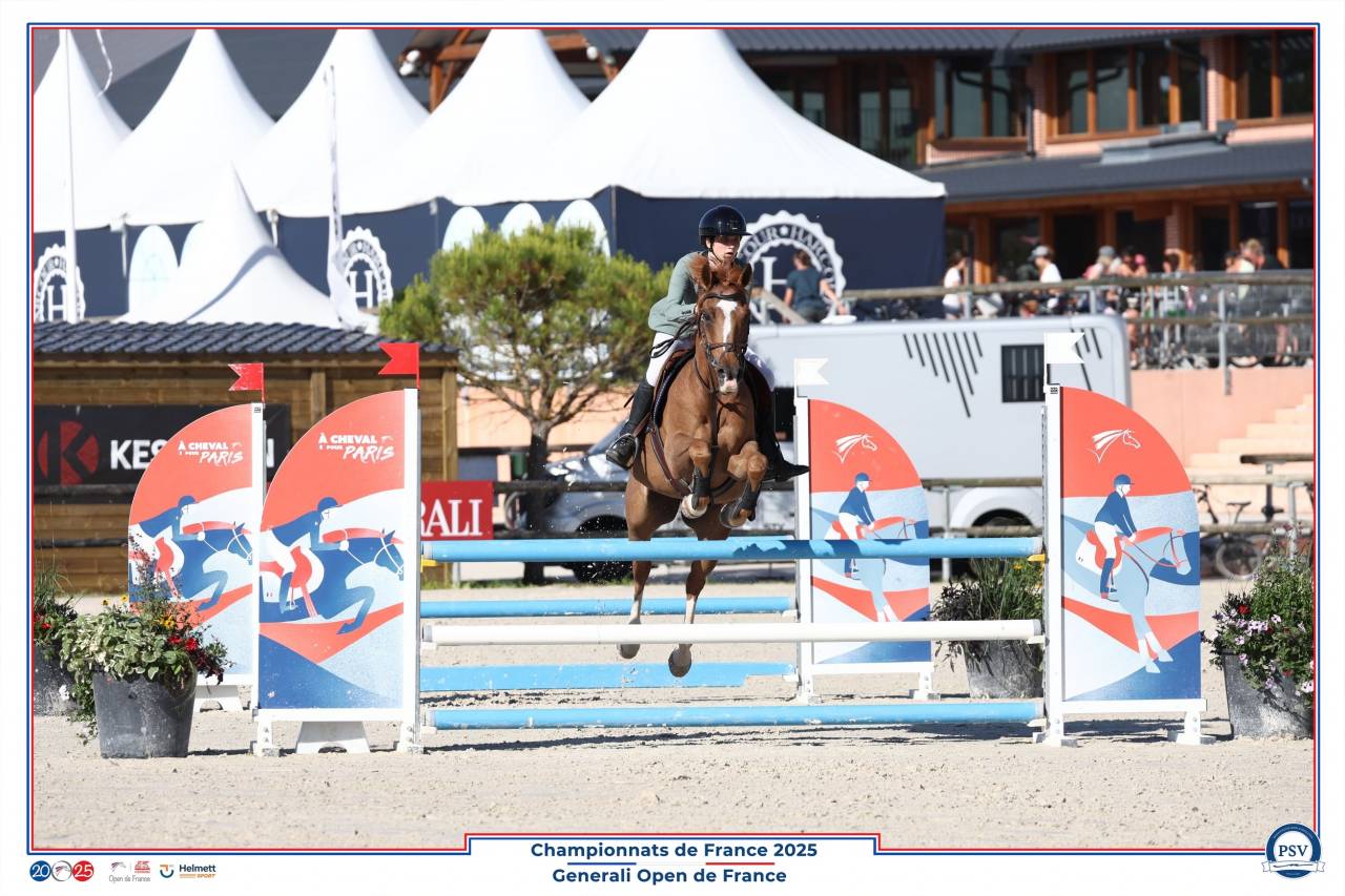 Castrone PFS Pony Francese da Sella In vendita 2013 Sauro brulé ,  Créole D'Angrie