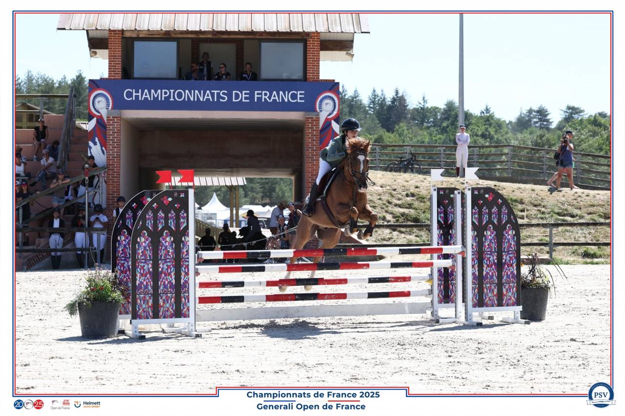 Castrone PFS Pony Francese da Sella In vendita 2013 Sauro brulé ,  Créole D'Angrie