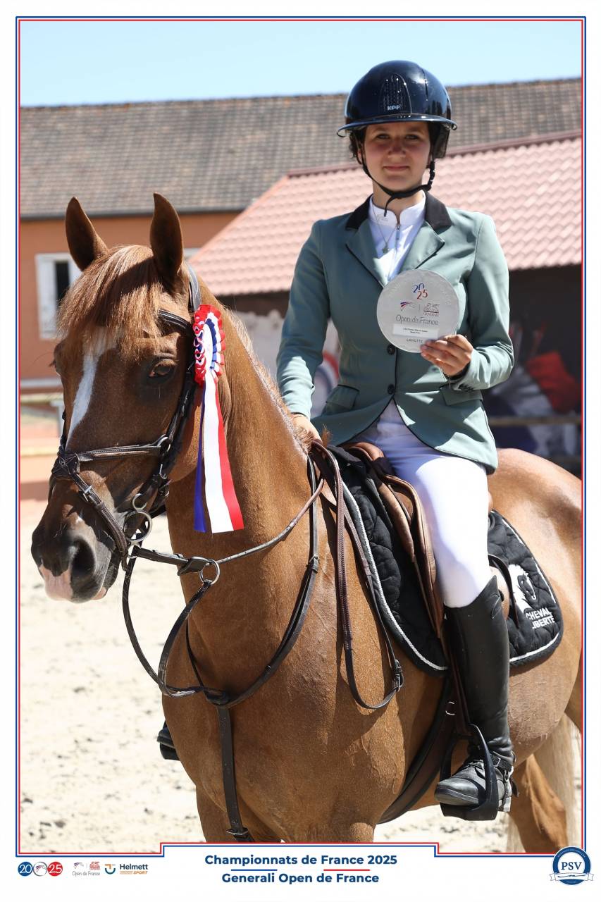 Castrone PFS Pony Francese da Sella In vendita 2013 Sauro brulé ,  Créole D'Angrie