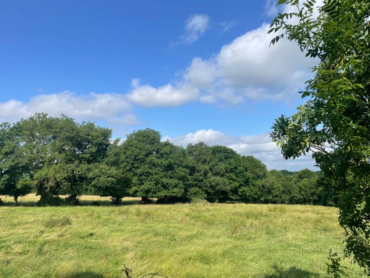 Proprietà equestre In vendita Deux-Sèvres