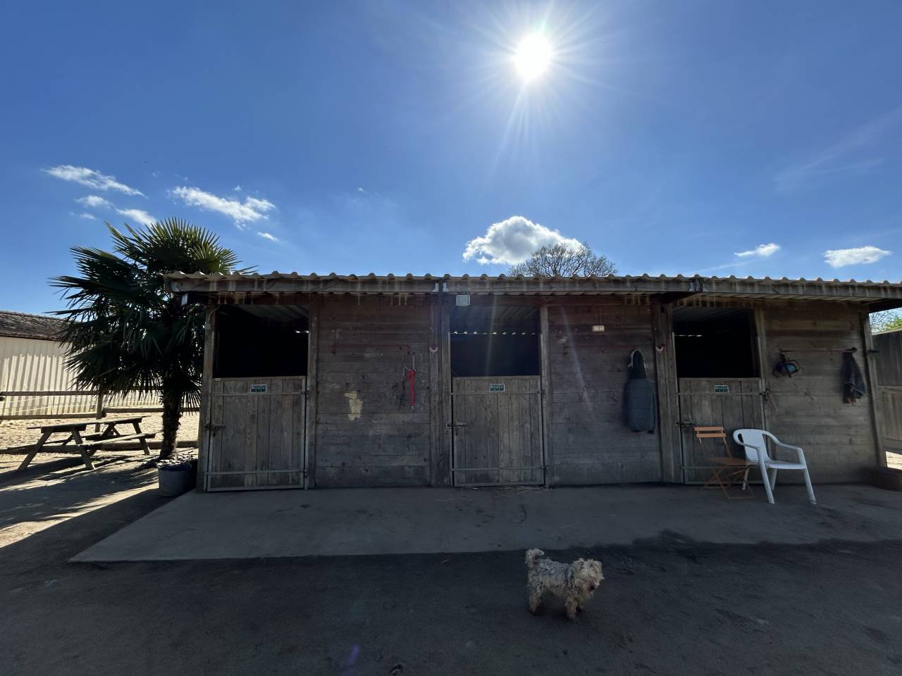 Bella dimora equestre In vendita Vienne
