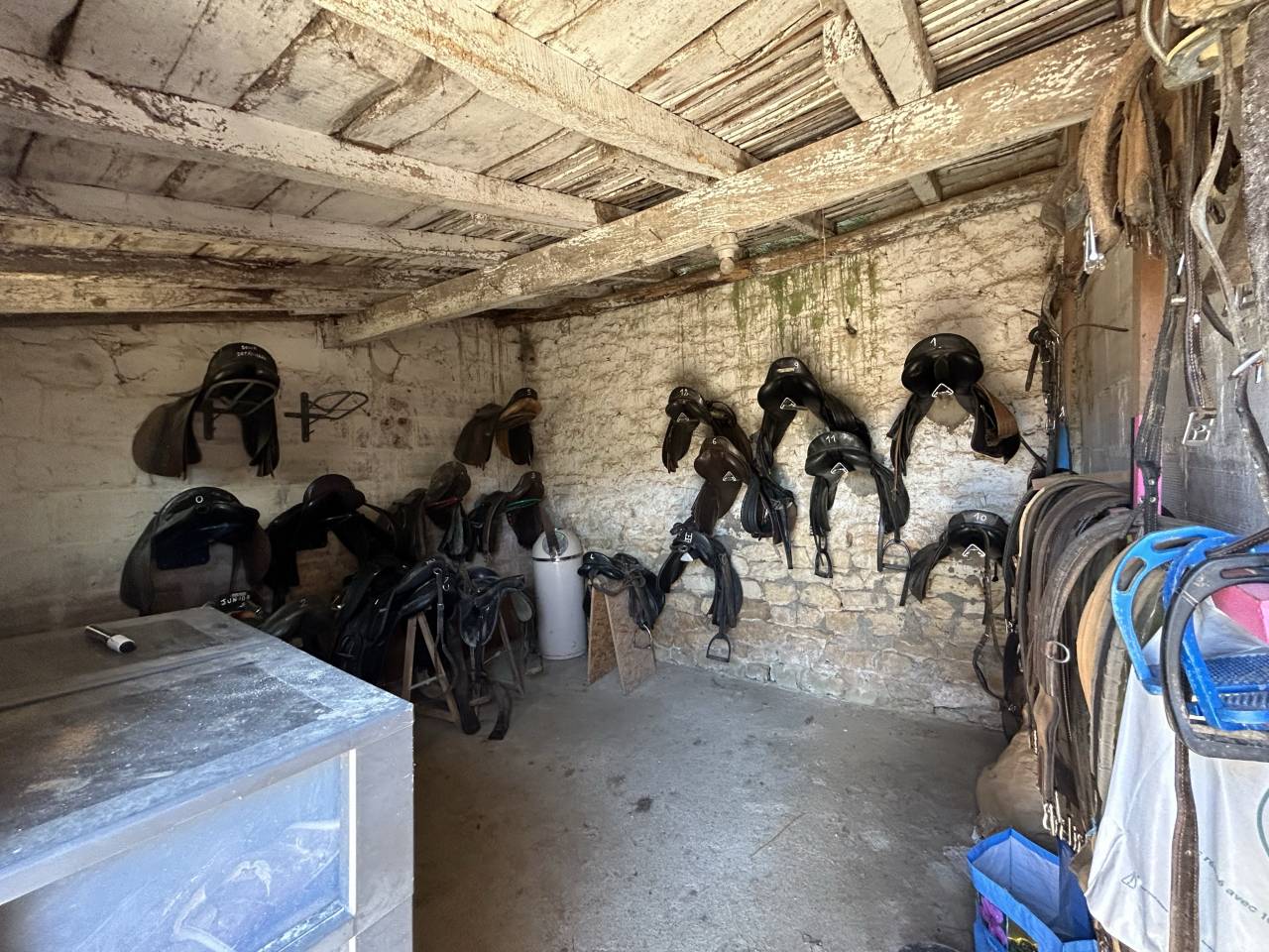 Bella dimora equestre In vendita Vienne