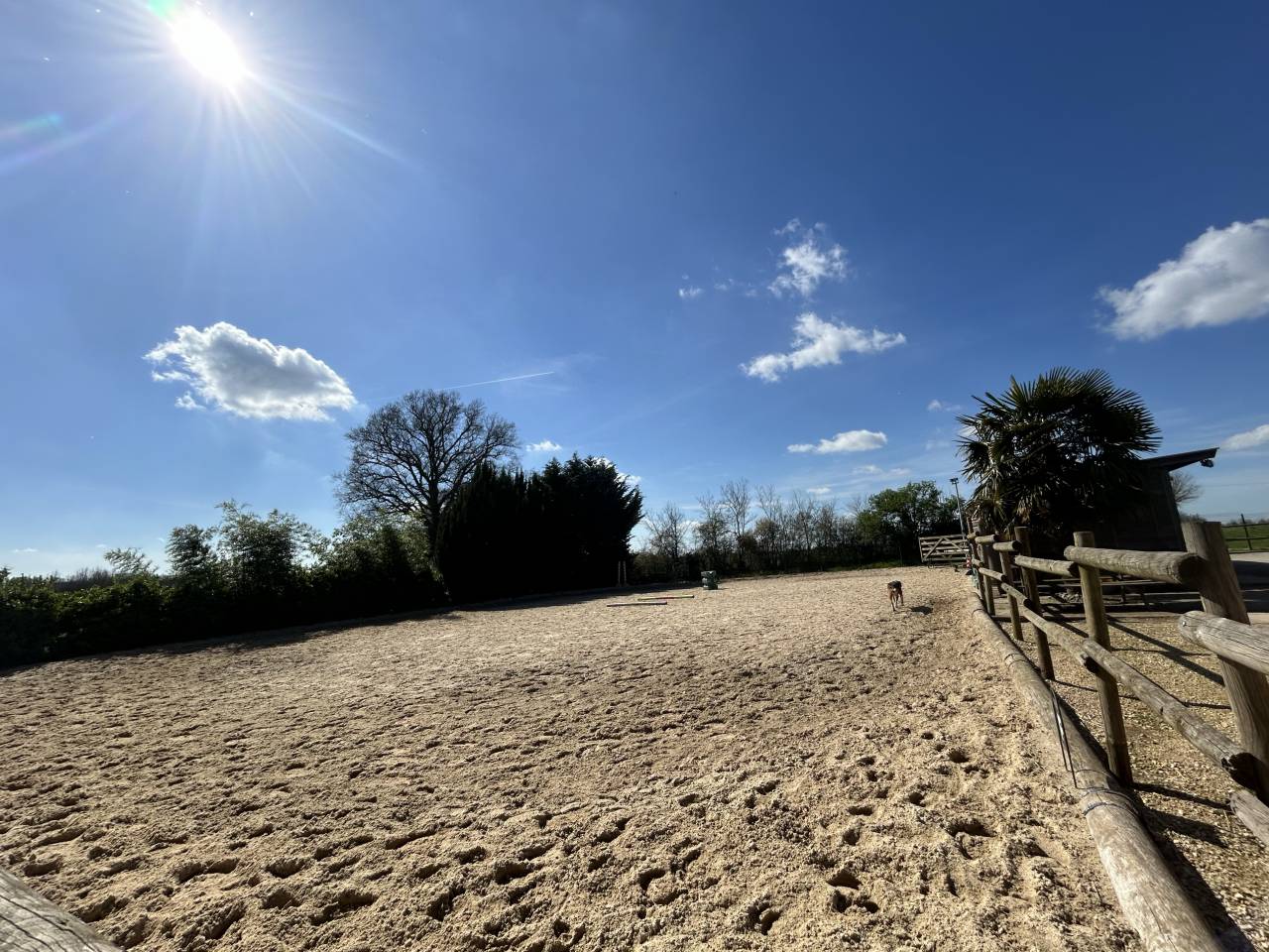 Bella dimora equestre In vendita Vienne