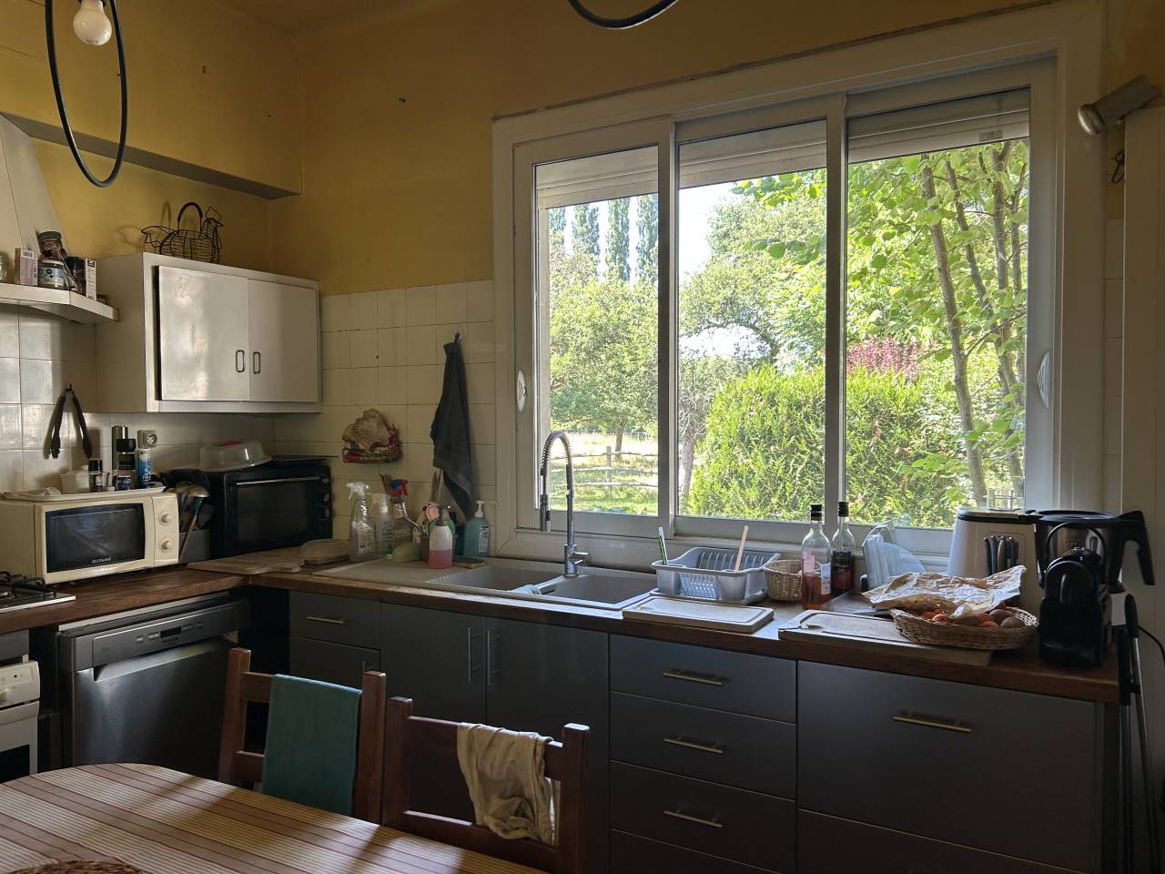 Bella dimora equestre In vendita Mayenne