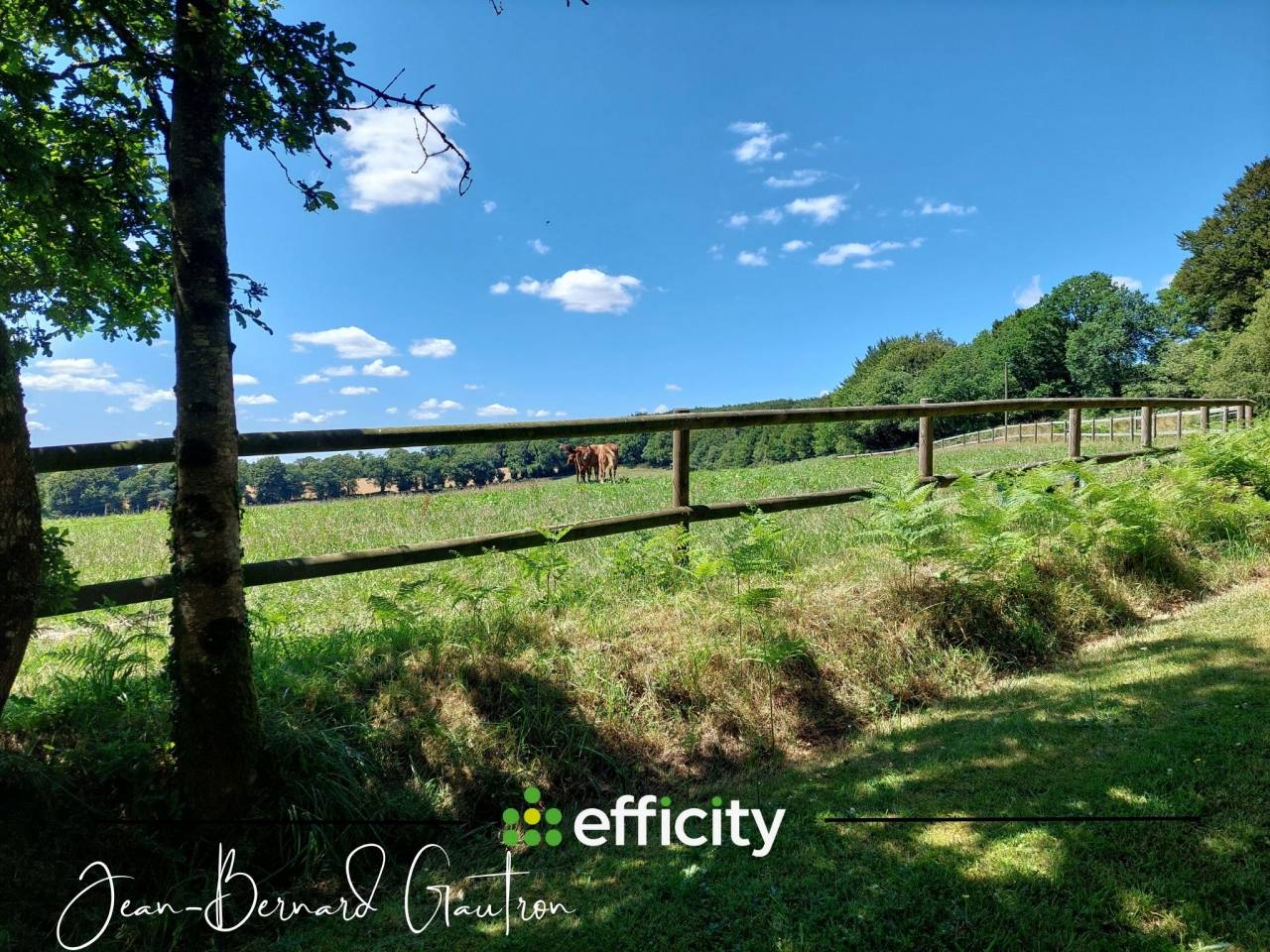 Proprietà equestre In vendita Côte d'Armor