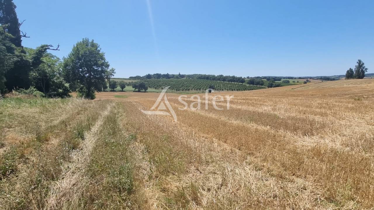 Azienda agricola In vendita Gers