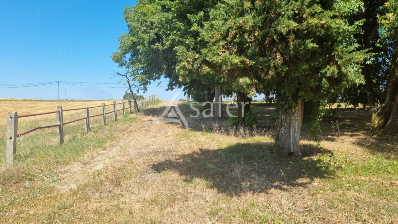 Azienda agricola In vendita Gers