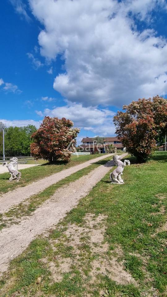 Proprietà equestre In vendita tarn