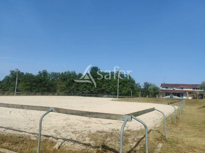 Proprietà equestre In vendita tarn