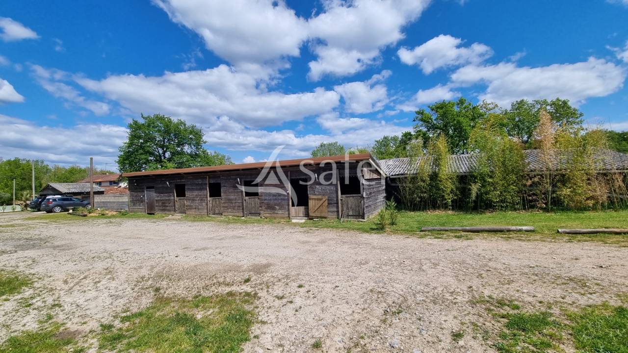 Proprietà equestre In vendita tarn