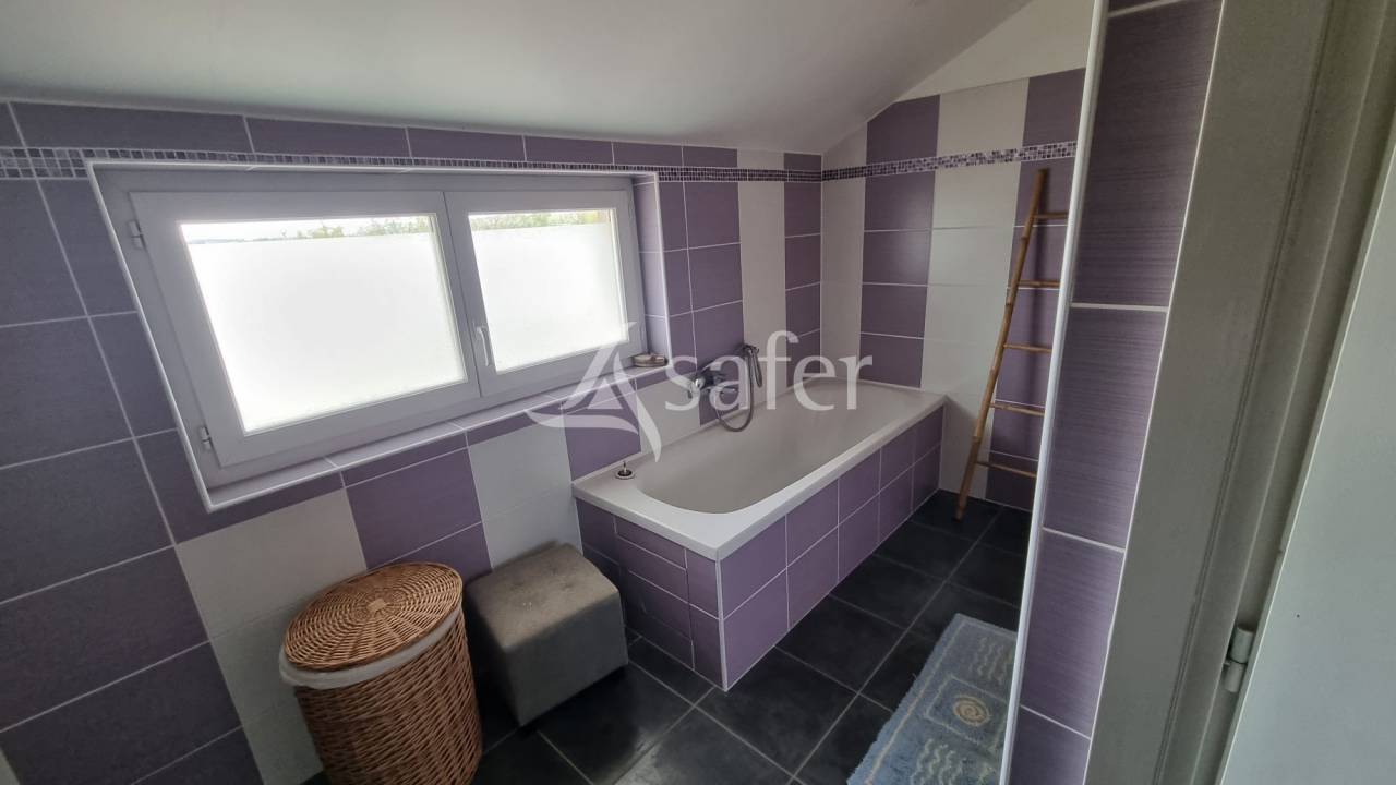 Propriet&agrave; equestre In vendita tarn