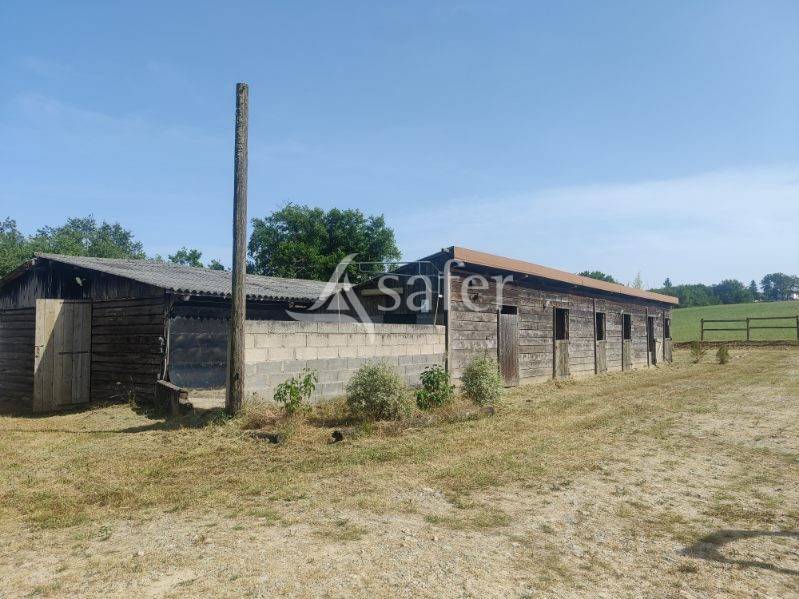 Propriet&agrave; equestre In vendita tarn