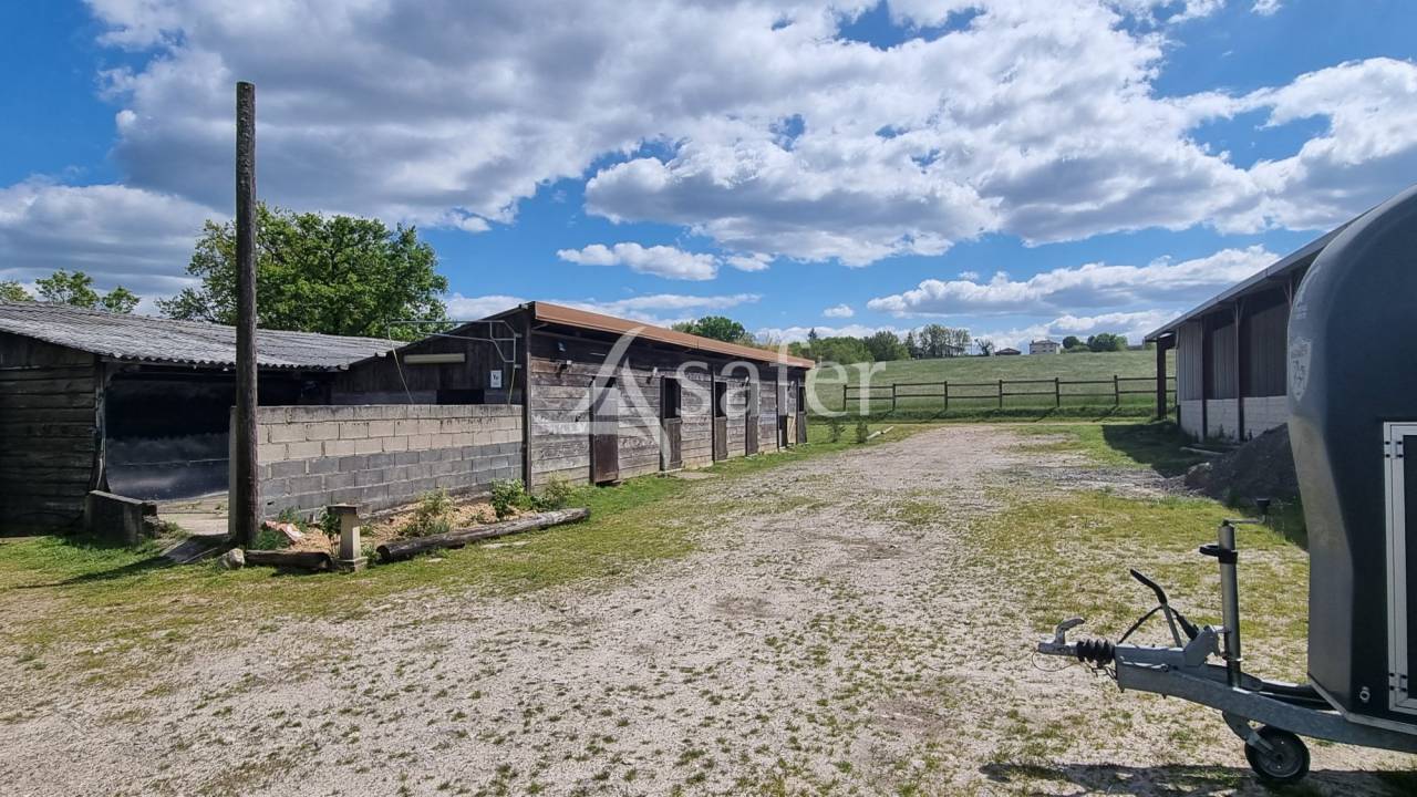 Propriet&agrave; equestre In vendita tarn