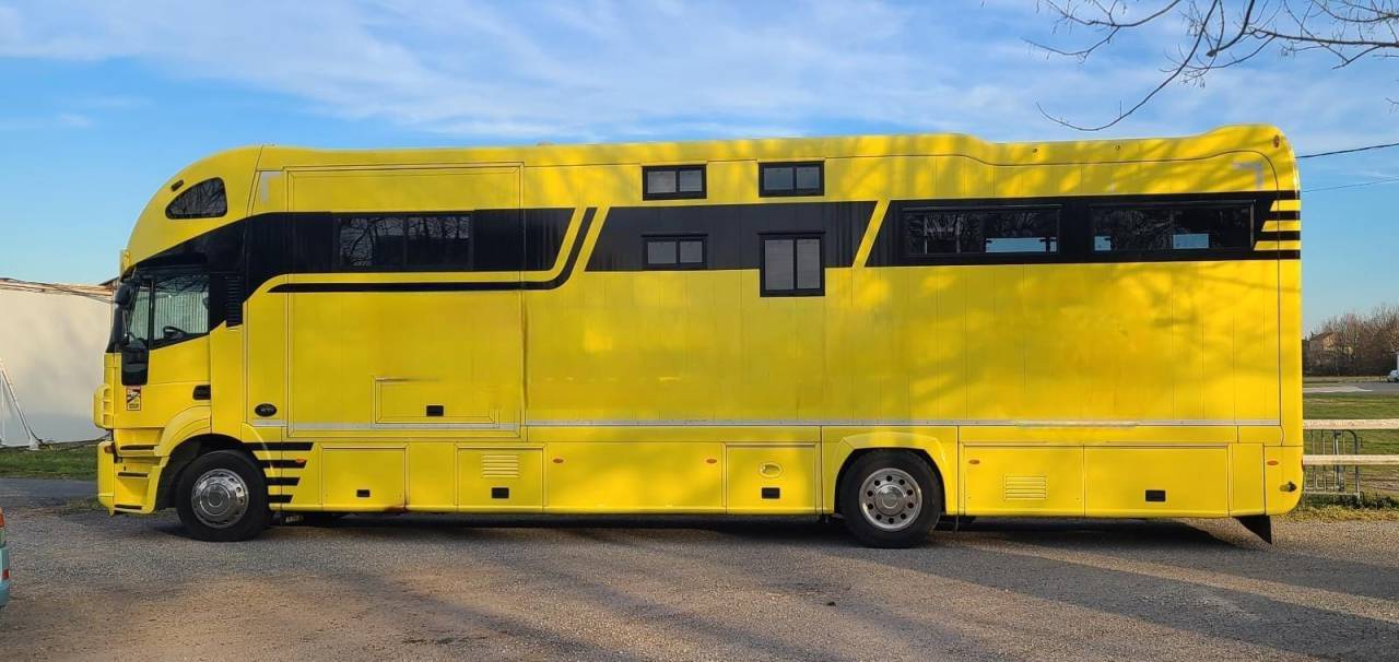 Camion per Cavalli Iveco STRALIS 19/360 2012 Occasione